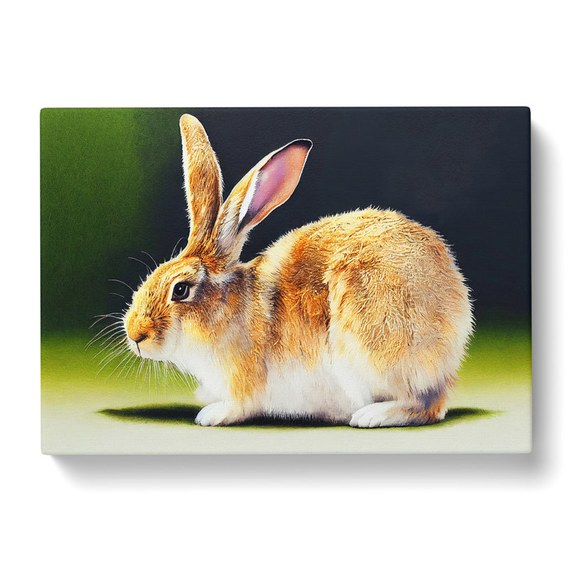 Watercolour Rabbit - Wrapped Canvas, 35cm H x 50cm W x 3cm D