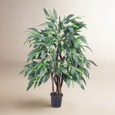 48" Mango Tree with Base Included