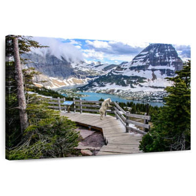 Alvord Glacier Park Mountain Goat