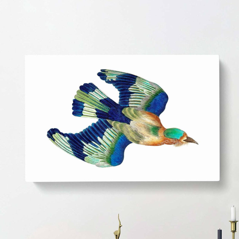 Indian Roller Bird by George Shaw - Wrapped Canvas, 35cm H x 50cm W x 3cm D
