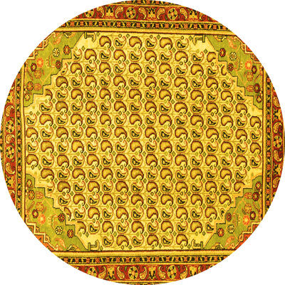 Oriental Indoor Rug