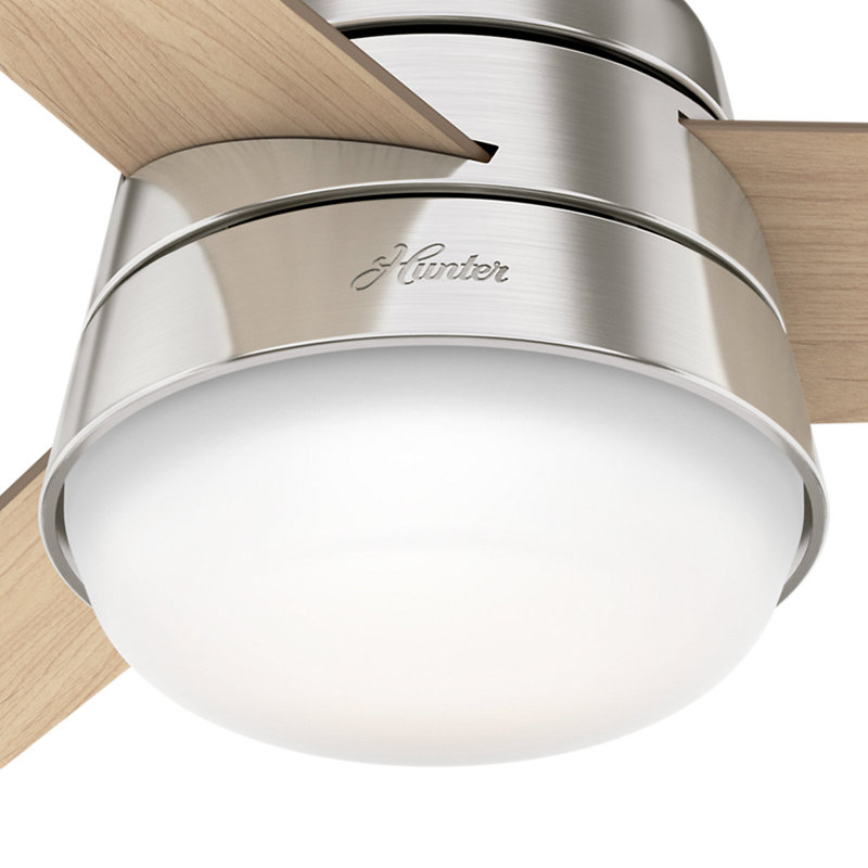 91cm Ceiling Fan with Light Kit, American Walnut/Natural Wood, Brushed Nickel