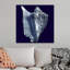 « Indigo shells I » par vision studio-impression-1160195865-1160195847