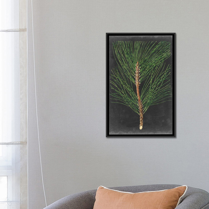 «Dramatic Pine I», impression sur toile, H 26 po x l 18 po x P 1,5 po, Toile encadrée noire, Pas de tapis