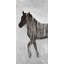 Gambading, cheval abstrait - brun