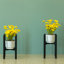 Indro Metal Plant Stand