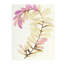 Plants VIII Print by Hable Construction-26774357