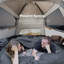 Tente pour 4 personnes