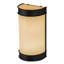 Wyant 2 - Light Flush Mounted Sconce