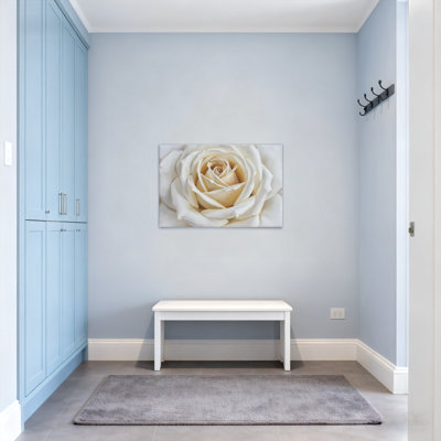 Plantes et fleurs, rose blanche, gros plan, motif floral