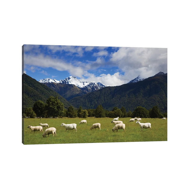 New Zealand, South Island 1 Piece Wrapped Canvas Wall Art, 66.04cm H x 101.6cm W