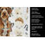 Serviette de cuisine Coffee Bar-1234934629