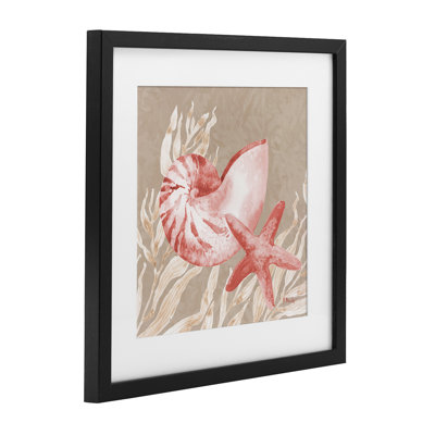 Peach Tampico Shells Framed Print Under Glass, design by Paul Brent