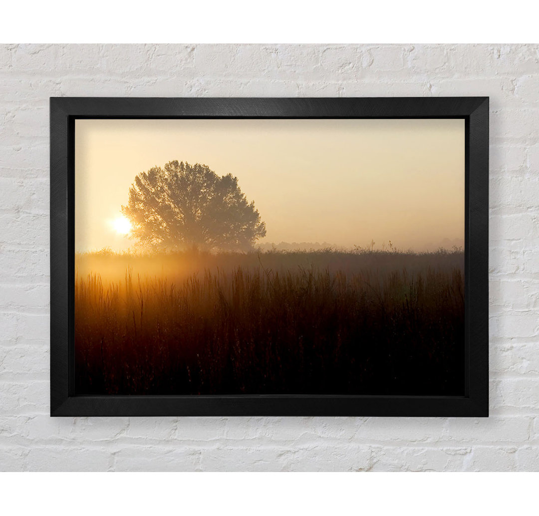 Yorkshire Dales Sonnenuntergang Nebel - Einzelner Bilderrahmen Kunstdrucke