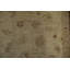 Tapis classique beige Oushak 6 x 8 avec des bordures rouges somptueuses