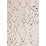 Moroccan Area Rug