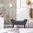Hannum Velvet Upholstered Bench-338384598-275645436