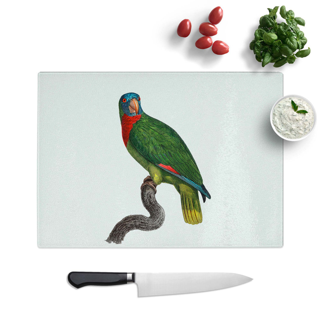 Tempered Glass Amazon Parrot by F. Levaillant Chopping Board