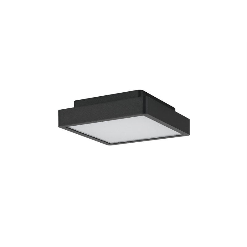 Patrol Q Ceiling Mount, 15W, Black Finish