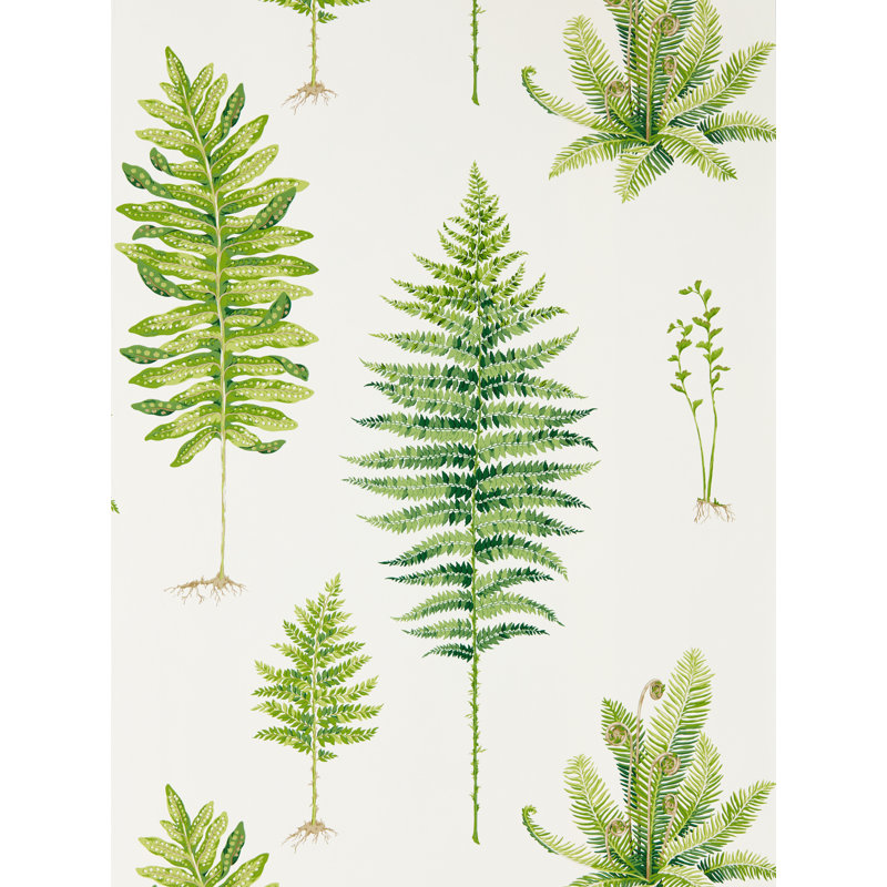 Fernery 10.05m x 68.6cm Matte Wallpaper Roll, White/Green