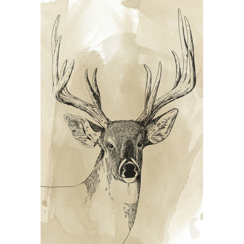 Burnished Buck I by Grace Popp - Wrapped Canvas Painting, 46cm H x 30cm W