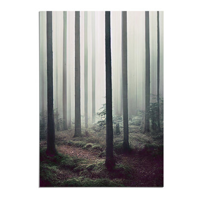 A Quiet Forest - Wall Art