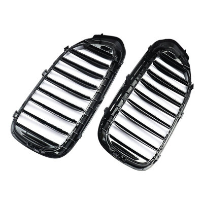 Front Kidney Grille