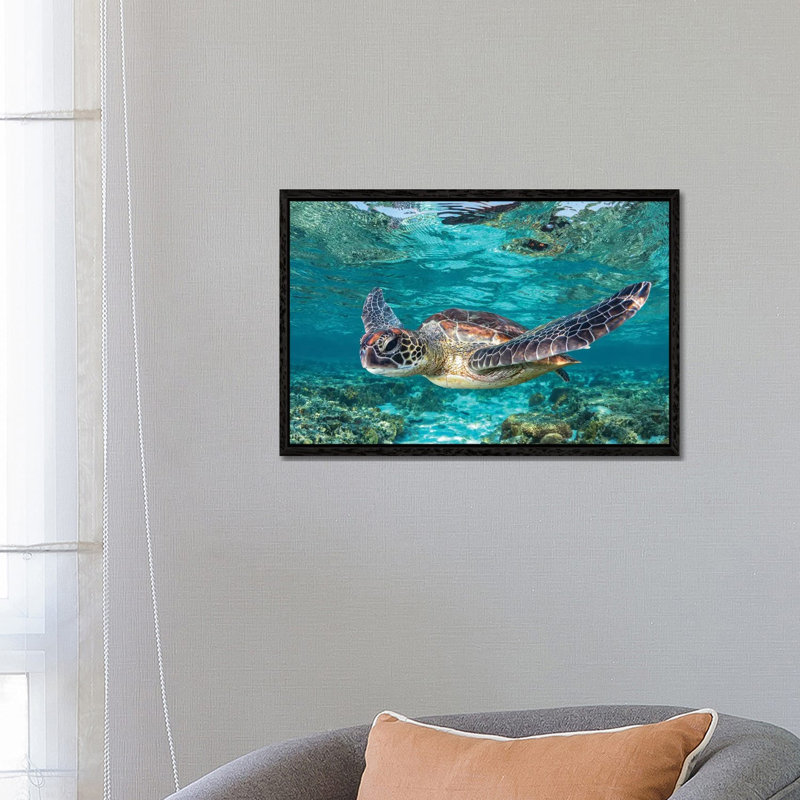 Learn To Fly by Jordan Robins - Print on Canvas, Black Framed, 101.6 cm H x 66.04 cm W