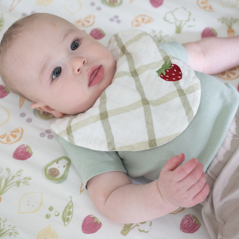 Clementine Fruit & Veggie Cotton Bandana Baby Bib (3 Pack)