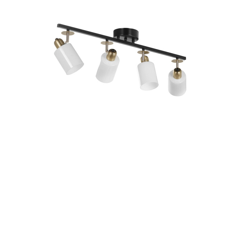 75cm 4 -Light Track Kit, Black/Satin Gold