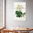 Keiri Oakleaf Hydrangea-108664180