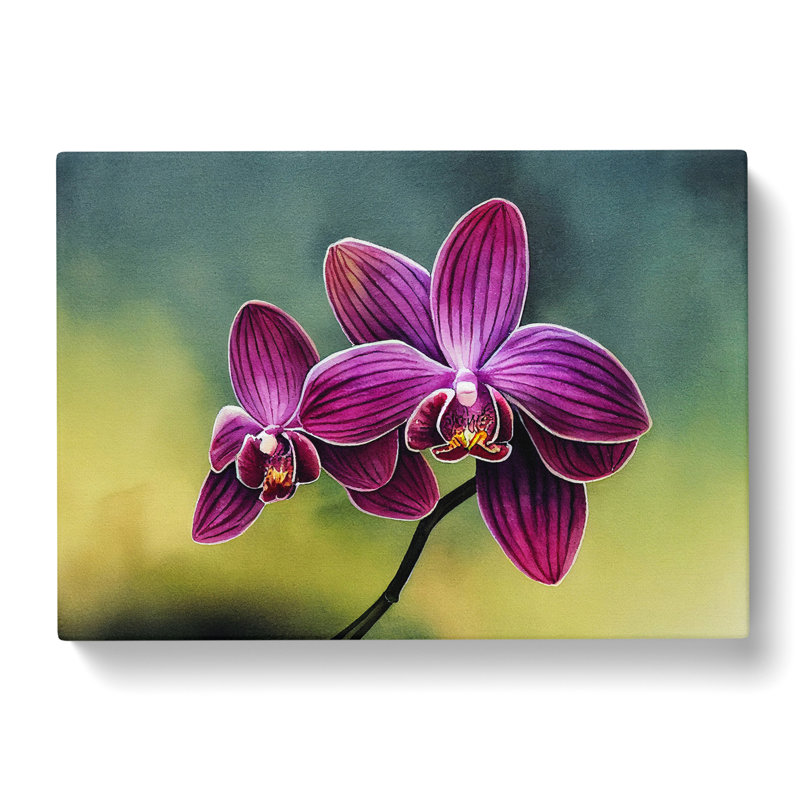 Brilliant Orchid Flowers - Wrapped Canvas, 40cm H x 60cm W x 3cm D