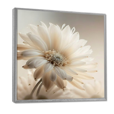 White Gerbera Flowers III - Gerbera Canvas Art