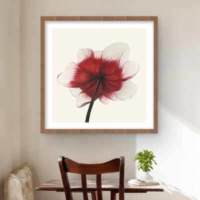 Anémone fleur rouge - rose romantique encadré décor mat