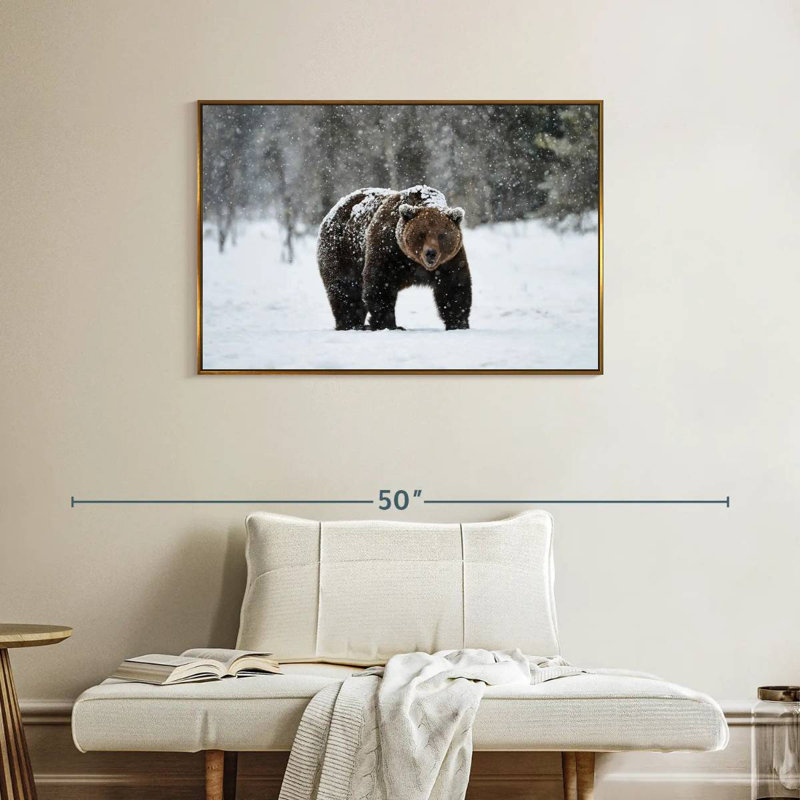 Ours grizzly d'hiver, Cadre flottant doré, 37 po x 25 po