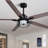 64'' Ceiling Fan With Led Lights