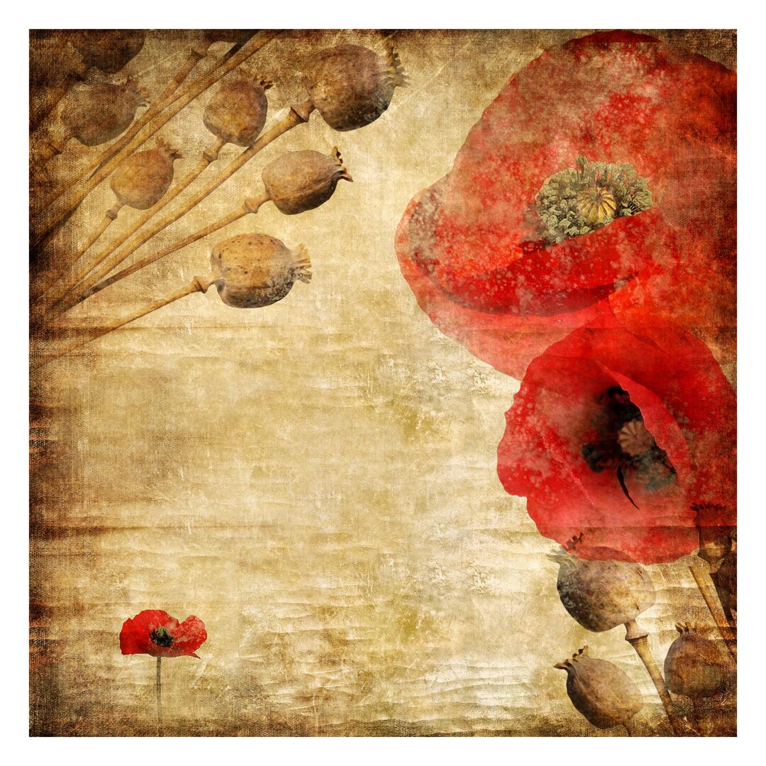 Strukturierte Fototapete Poppy Flower 1,92 m x 192 cm