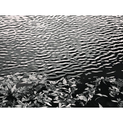 «Black and White Nature 4», reproduction sur toile tendue