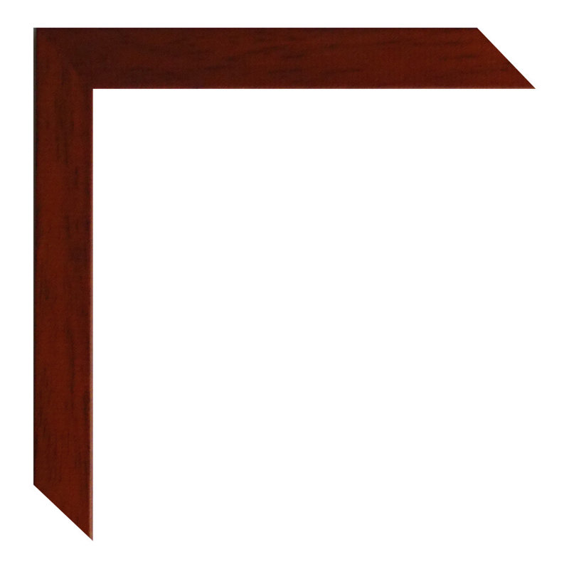 Blandinsville Wood Picture Frame with Mat, Mago