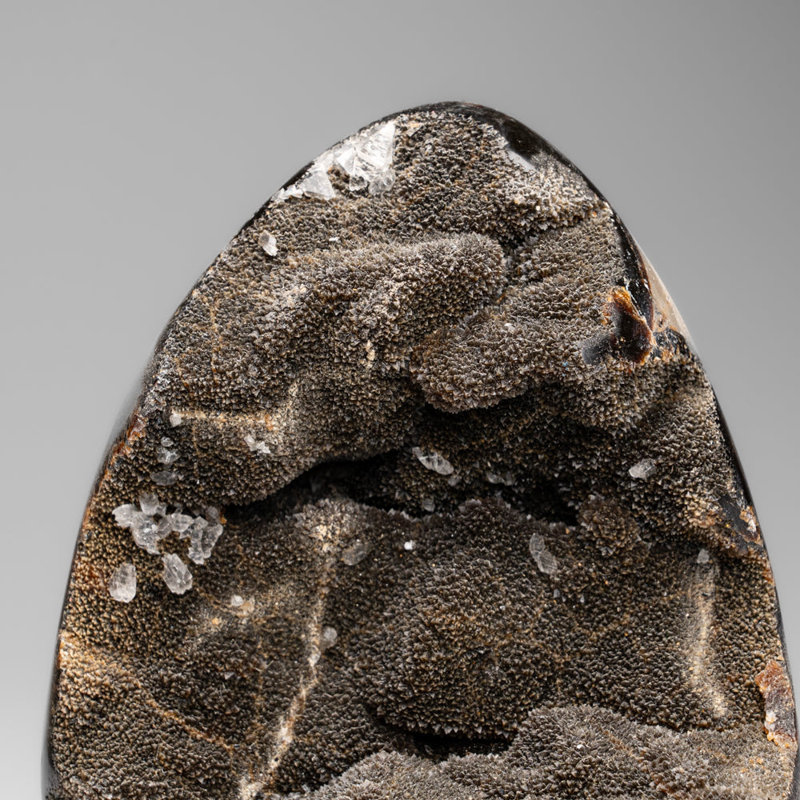 Septarian Druzy Geode Freeform From Madagascar (4.8 Lbs)
