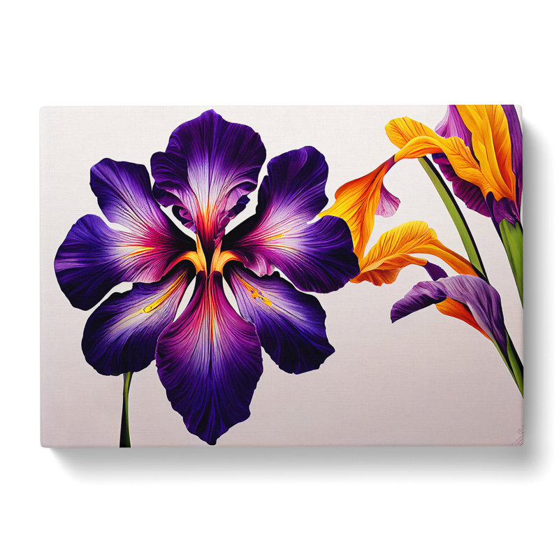 Brilliant Iris Flowers - Wrapped Canvas, 50cm H x 76cm W x 3cm D