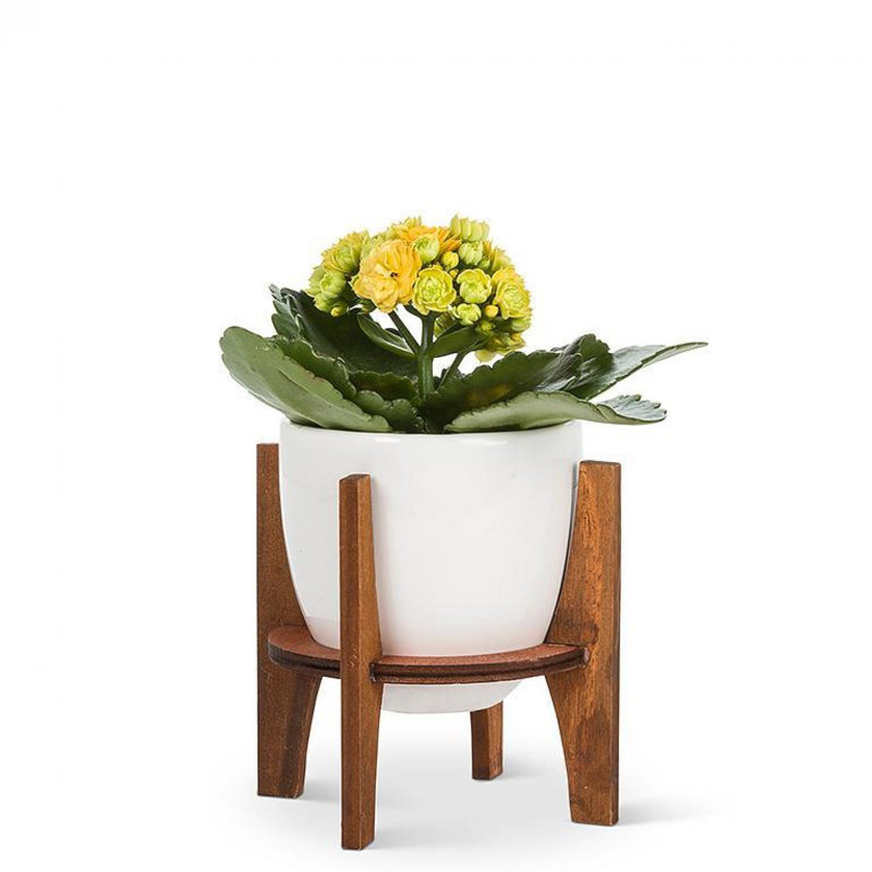 Pot avec pot en bois