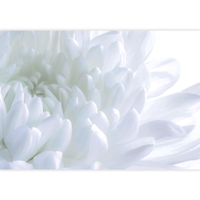 Floral Petal Closeup Border, 66" L x 96" W