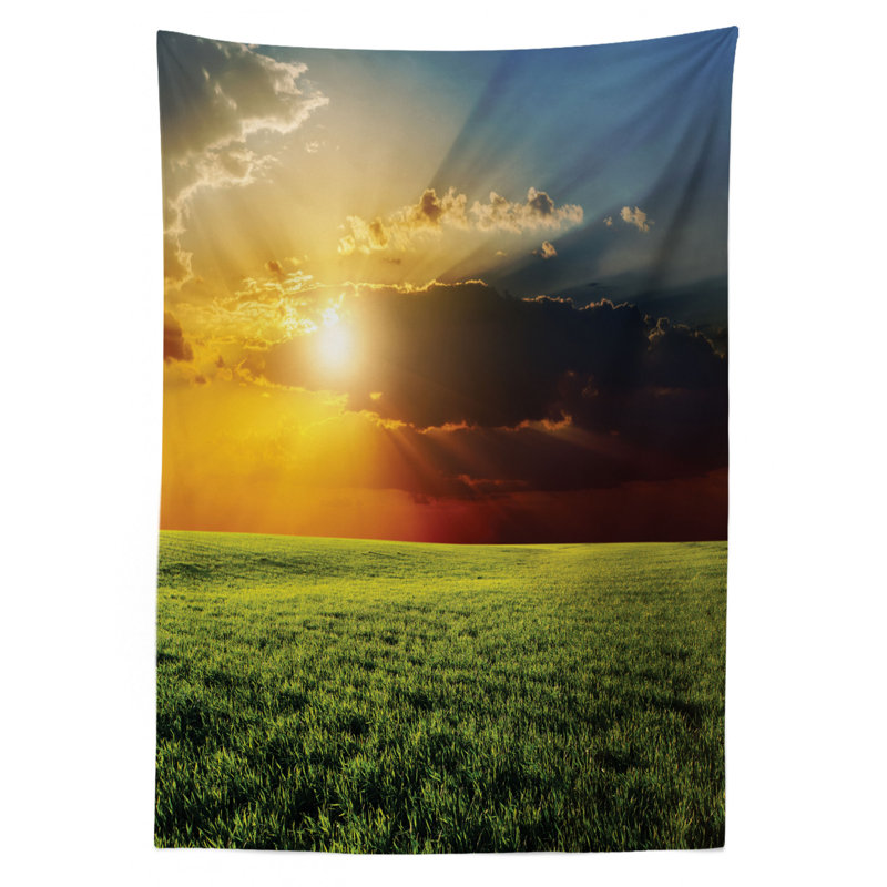 Nappe rustique, rayons de soleil dans un champ agricole dramatique, éclatant à travers des nuages sombres, couverture de table rectangulaire pour décor de cuisine de salle à manger, 52 po x 70 po, vert jaune