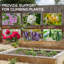 2 treillis de jardin pour plantes grimpantes, treillis extérieur en métal