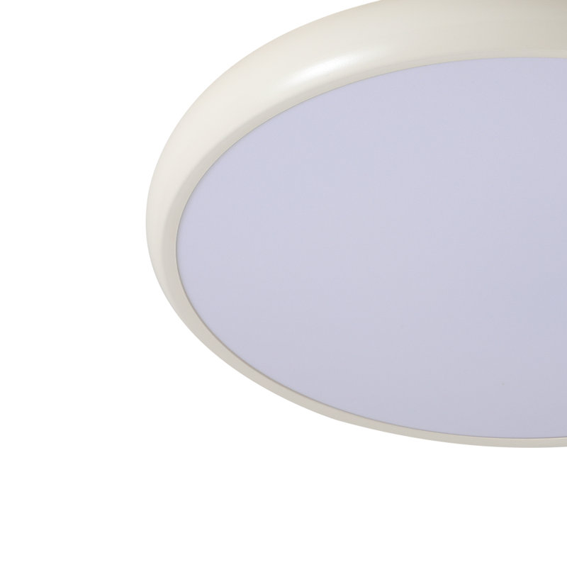 Acrylic LED Flush Mount