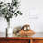 Adorne® Wall Plate-111798044