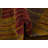 Naber Multi Rug