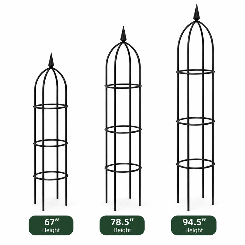 Obélisque de jardin en acier RHS 78,5 po pour plantes grimpantes