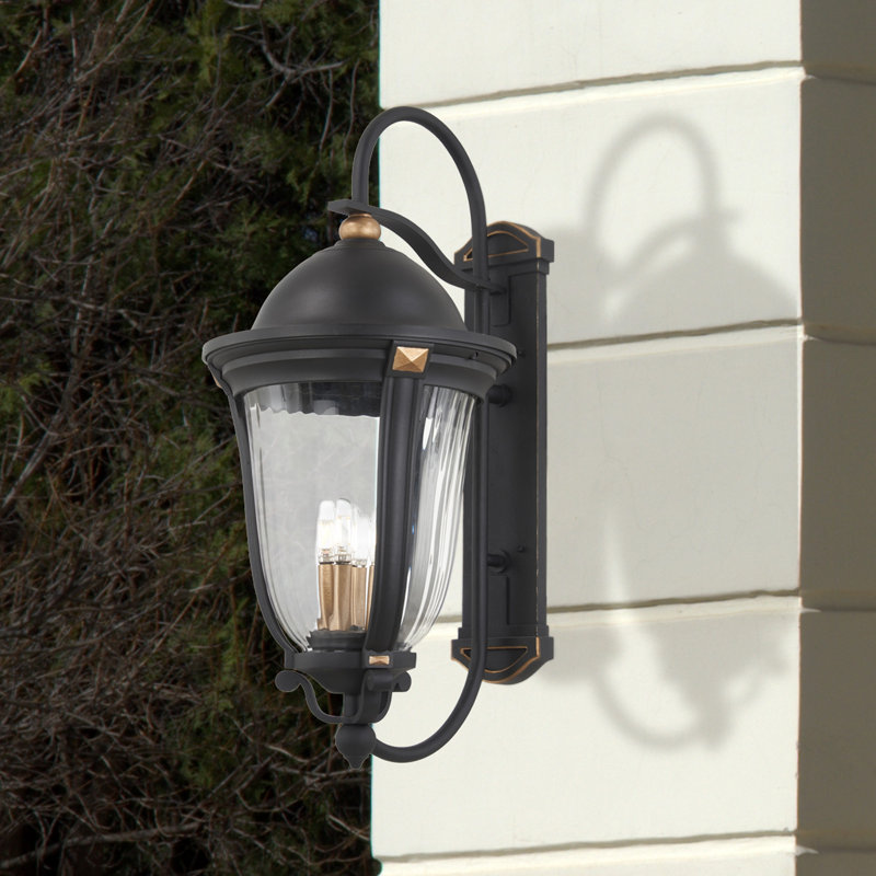 Aaryona Wall Light
